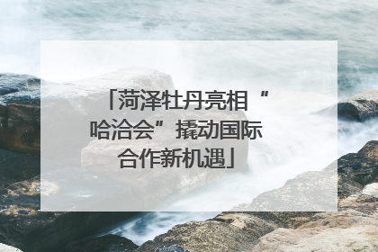 菏泽牡丹亮相“哈洽会”撬动国际合作新机遇