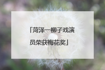 菏泽一柳子戏演员荣获梅花奖