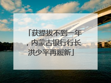 获提拔不到一年，内蒙古银行行长洪少平再履新