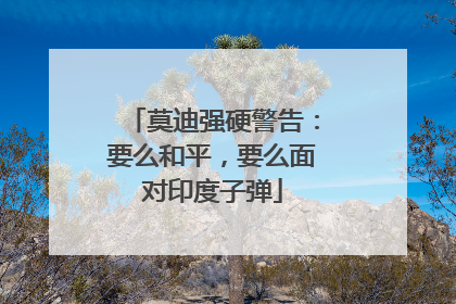 莫迪强硬警告：要么和平，要么面对印度子弹