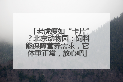 老虎瘦如“卡片”？北京动物园：饲料能保障营养需求，它体重正常，放心吧