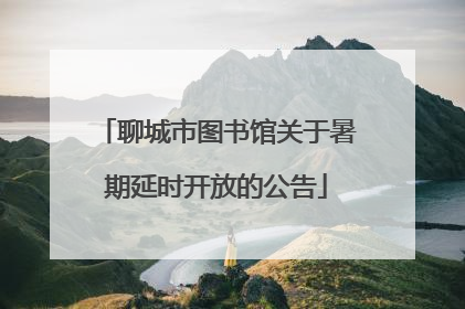 聊城市图书馆关于暑期延时开放的公告