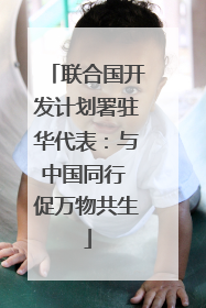 联合国开发计划署驻华代表：与中国同行 促万物共生