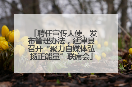 聘任宣传大使、发布管理办法，延津县召开“聚力自媒体弘扬正能量”联席会