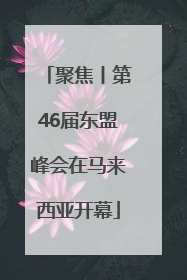 聚焦丨第46届东盟峰会在马来西亚开幕