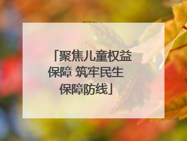 聚焦儿童权益保障 筑牢民生保障防线