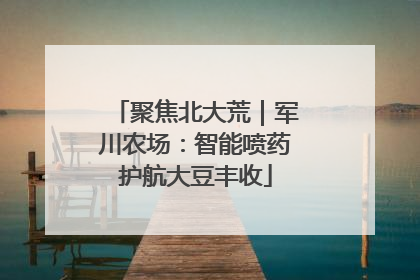 聚焦北大荒｜军川农场：智能喷药护航大豆丰收