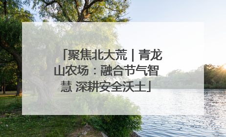 聚焦北大荒｜青龙山农场：融合节气智慧 深耕安全沃土