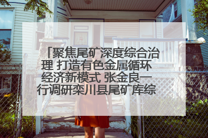 聚焦尾矿深度综合治理 打造有色金属循环经济新模式 张金良一行调研栾川县尾矿库综合治理工作