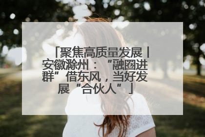 聚焦高质量发展丨安徽滁州：“融圈进群”借东风，当好发展“合伙人”