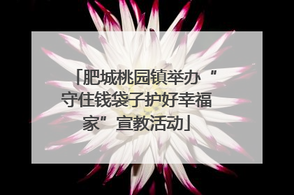 肥城桃园镇举办“守住钱袋子护好幸福家”宣教活动