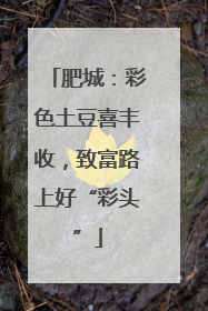 肥城：彩色土豆喜丰收，致富路上好“彩头”