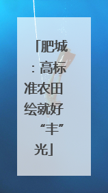 肥城：高标准农田绘就好“丰”光