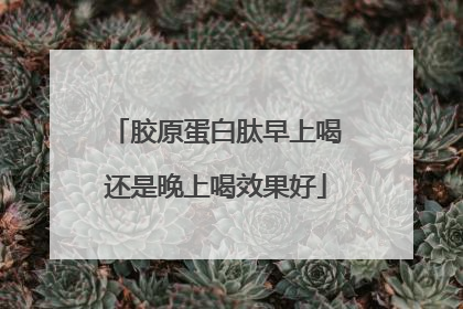 胶原蛋白肽早上喝还是晚上喝效果好