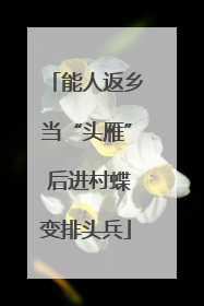 能人返乡当“头雁” 后进村蝶变排头兵