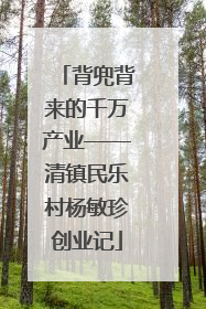 背兜背来的千万产业——清镇民乐村杨敏珍创业记