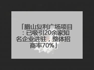 腊山复利广场项目：已吸引20余家知名企业进驻，整体招商率70%