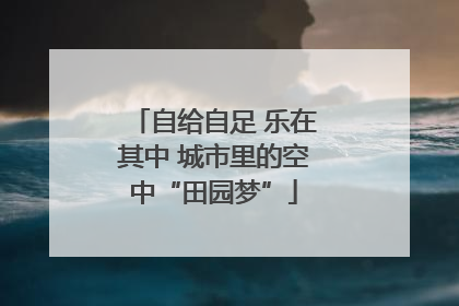 自给自足 乐在其中 城市里的空中“田园梦”