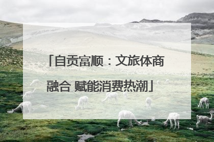 自贡富顺：文旅体商融合 赋能消费热潮