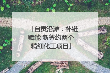自贡沿滩：补链赋能 新签约两个精细化工项目