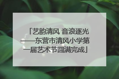 艺韵清风 音浪逐光——东营市清风小学第一届艺术节圆满完成
