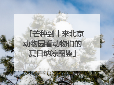 芒种到丨来北京动物园看动物们的夏日纳凉图鉴