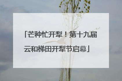 芒种忙开犁！第十九届云和梯田开犁节启幕