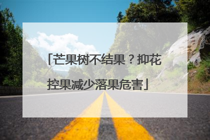 芒果树不结果？抑花控果减少落果危害