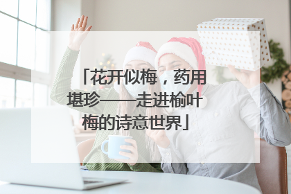 花开似梅，药用堪珍——走进榆叶梅的诗意世界