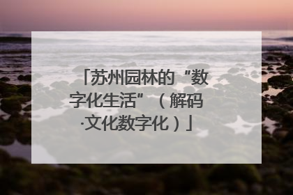 苏州园林的“数字化生活”（解码·文化数字化）