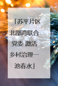 苏平片区北部湾联合党委 激活乡村治理一池春水