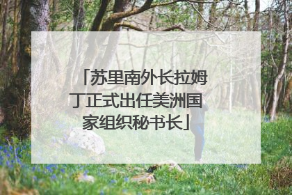 苏里南外长拉姆丁正式出任美洲国家组织秘书长