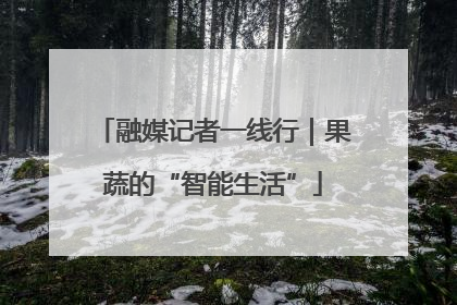 融媒记者一线行｜果蔬的“智能生活”