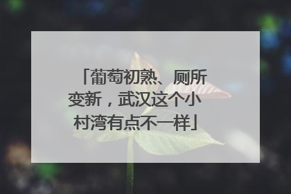 葡萄初熟、厕所变新，武汉这个小村湾有点不一样