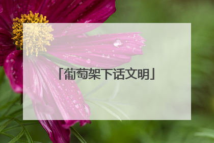 葡萄架下话文明