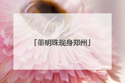 董明珠现身郑州