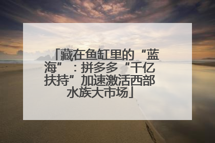 藏在鱼缸里的“蓝海”：拼多多“千亿扶持”加速激活西部水族大市场