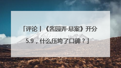 评论丨《酱园弄·悬案》开分5.9，什么压垮了口碑？