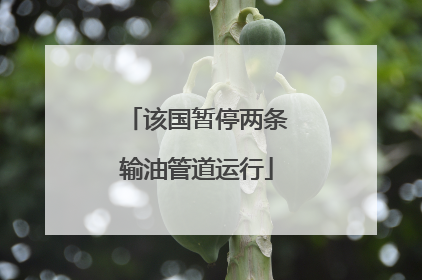 该国暂停两条输油管道运行