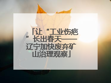 让“工业伤疤”长出春天——辽宁加快废弃矿山治理观察