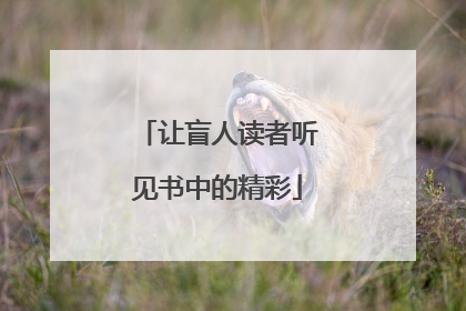 让盲人读者听见书中的精彩