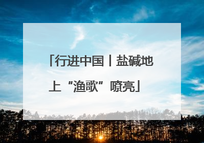 行进中国丨盐碱地上“渔歌”嘹亮