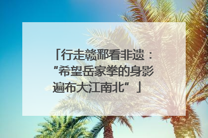 行走赣鄱看非遗：“希望岳家拳的身影遍布大江南北”