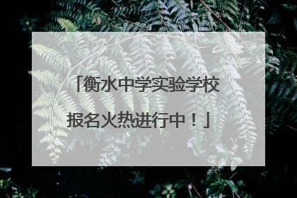 衡水中学实验学校报名火热进行中！