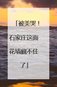 被美哭！石家庄这面花墙藏不住了
