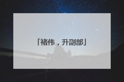 褚伟，升副部