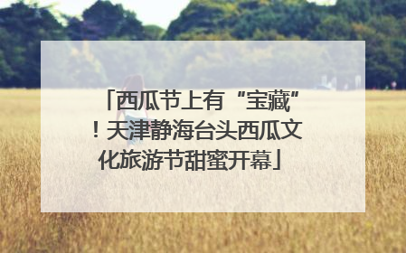 西瓜节上有“宝藏”！天津静海台头西瓜文化旅游节甜蜜开幕