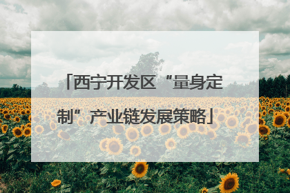 西宁开发区“量身定制”产业链发展策略