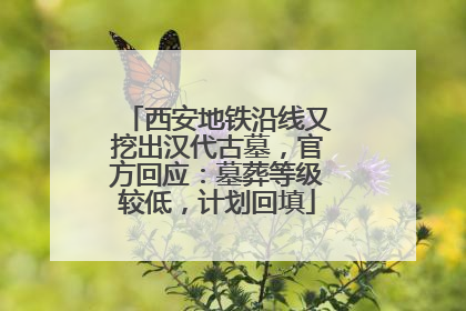 西安地铁沿线又挖出汉代古墓，官方回应：墓葬等级较低，计划回填