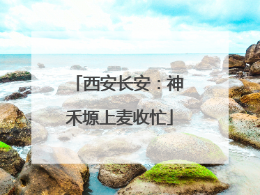 西安长安：神禾塬上麦收忙